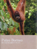 s-PulauBorneo